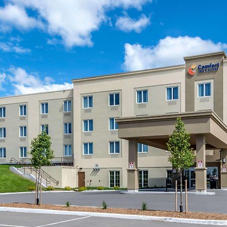 Comfort Inn & Suites Greater Napanee Bagian luar foto